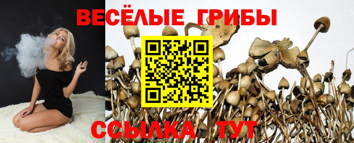 Красноярск  Псилоцибиновые грибы Psilocybe  Псилоцибиновые грибы ЛСД  Вход с VPN 